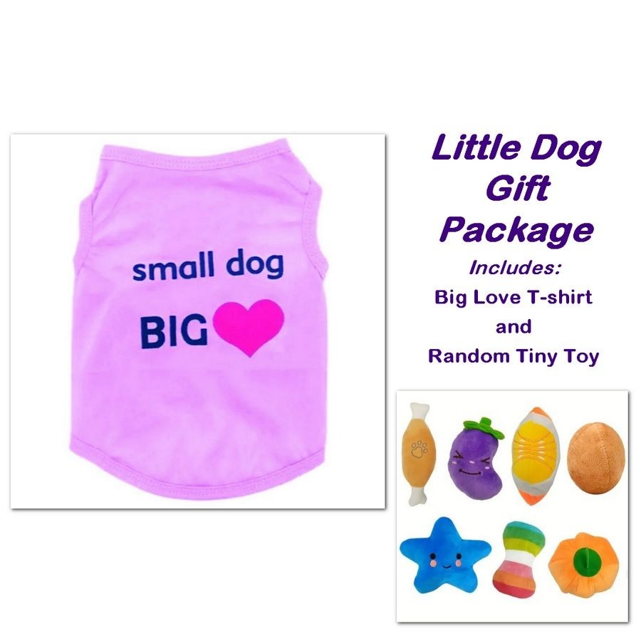 Randy Love Little Dog Tee Shirt and Tiny Toy Gift Package Size XS Purple